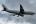 Airbus A330-202
